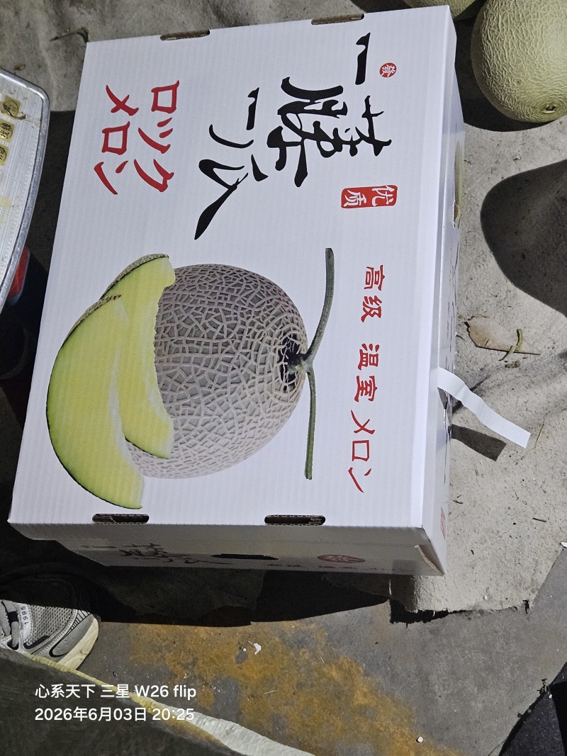 网纹瓜，玫珑嘉华美华牛三，全国发货，直供商超市场，一件代发
