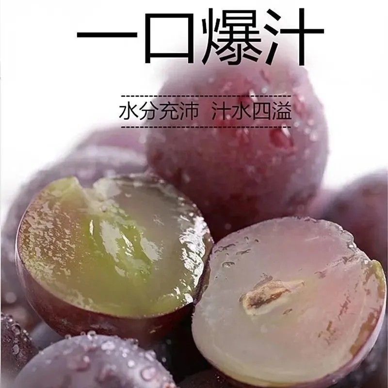 阳光玫瑰/巨峰葡萄江苏盐城产区代办支持全国一件代发