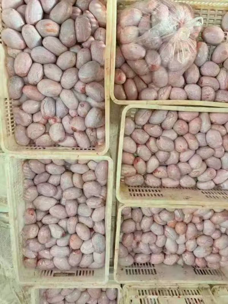 去皮羊宝