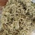金银花，产地直发，色泽鲜艳，颗粒饱满，量大从优。