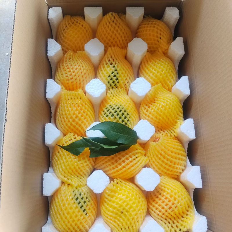 蒙阴蜜桃支持一件代发