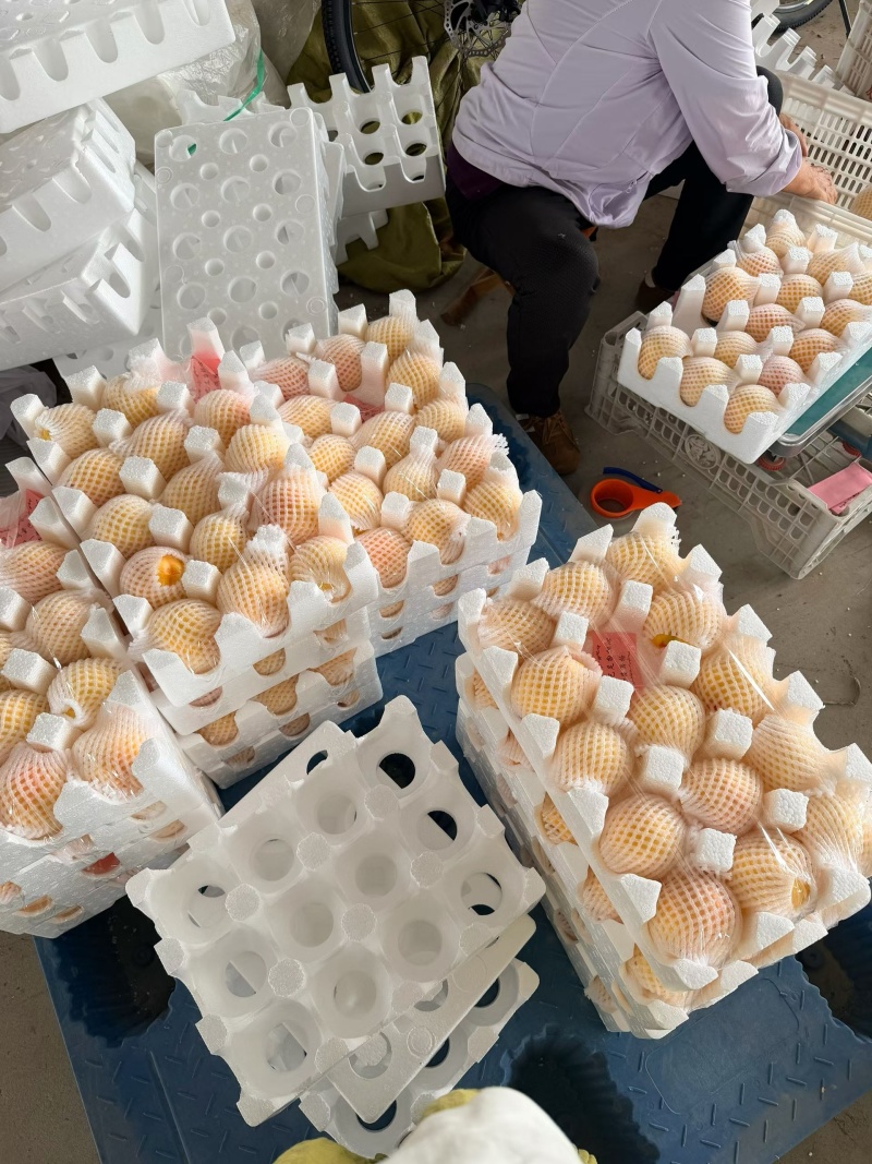 蒙阴蜜桃支持一件代发