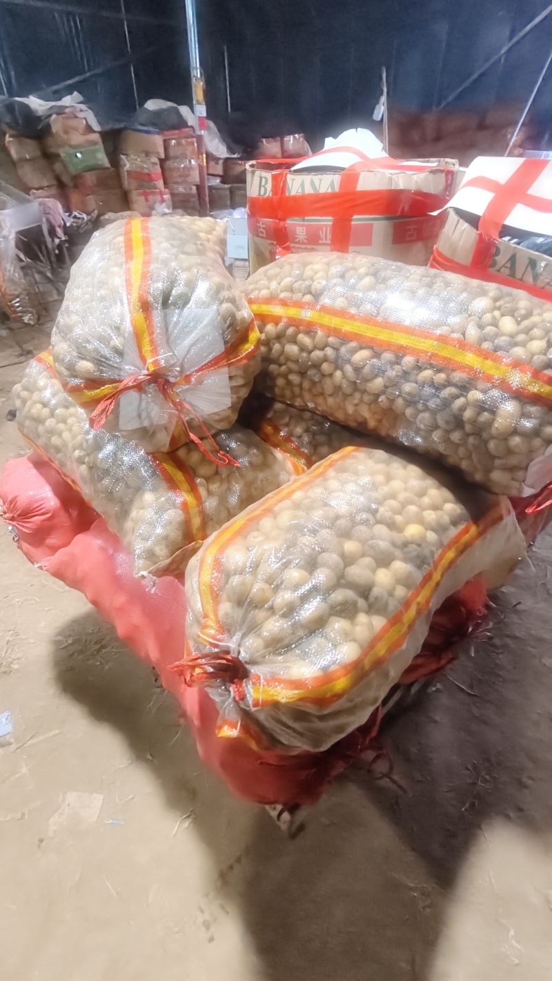 精品迷你小土豆，黄皮黄心，大量供应