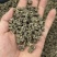 正宗猫爪草，优质猫爪草，产地直售