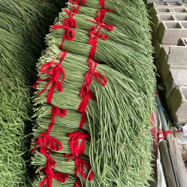 白条豆角市场电商加工厂，腌制嗮条大量供货