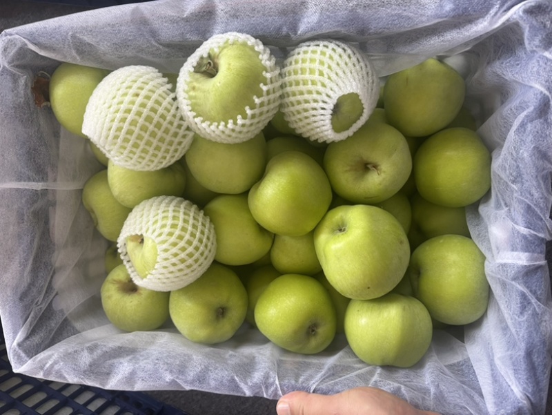 大量苹果可联系***********