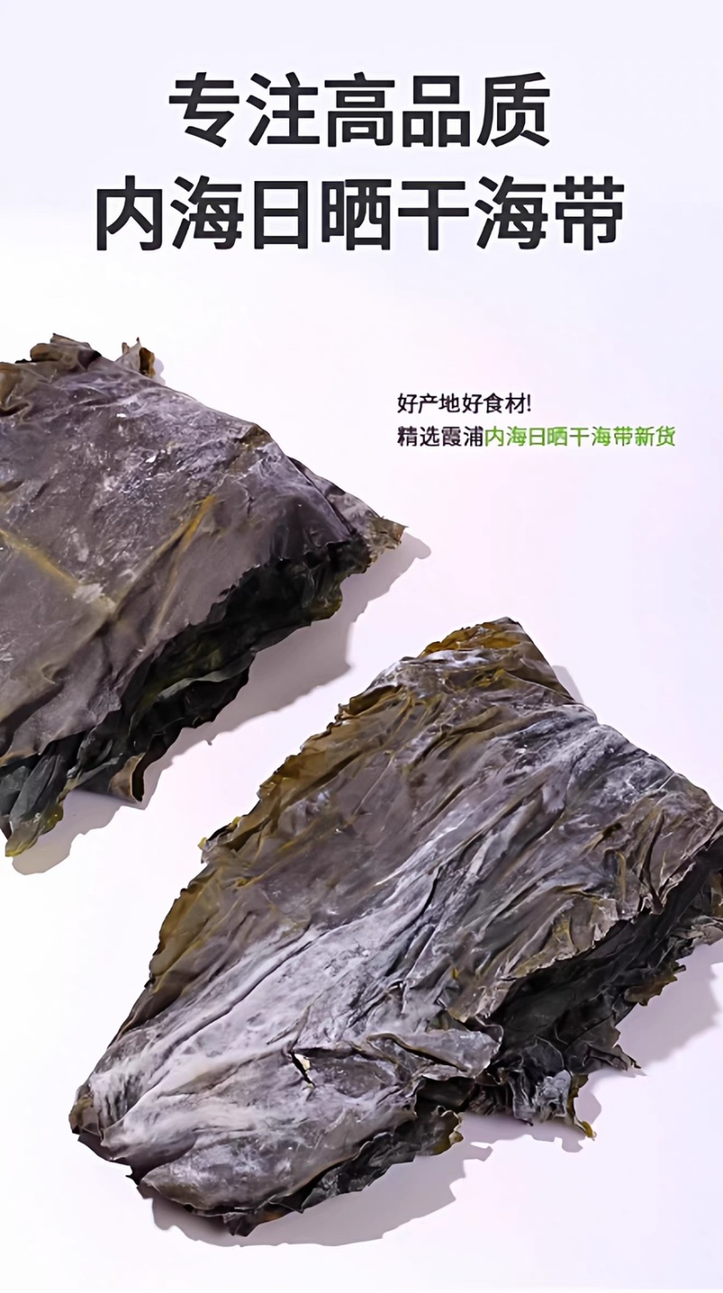 霞浦干海带