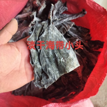 干海带小头（10公分左右），无沙干海带头（30公分左右）