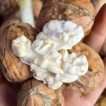大凉山青皮核桃对接各大当口平台绿色核桃绿色生活欢迎订购