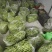 甘肃无筋豆大量上市，欢迎各位大佬们来甘肃！