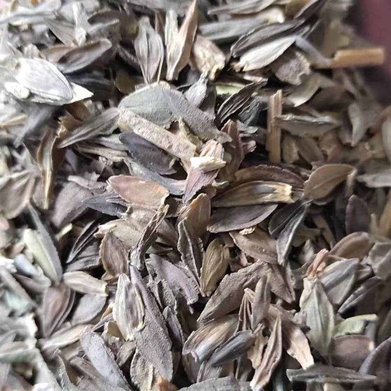 百日草种子，产地直发，量大从优，