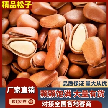 【品质保障】东北红松子电商支持一件代发欢迎来电咨询