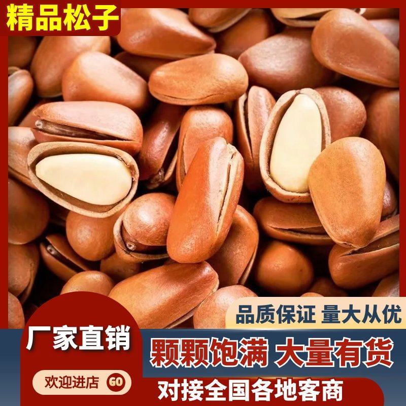 【品质保障】东北红松子电商支持一件代发欢迎来电咨询