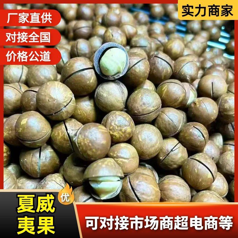 【热卖】河南夏威夷果精品大果可供商超电商量大优惠欢迎洽谈