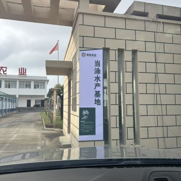安徽塘南清水小龙虾全规格全品类