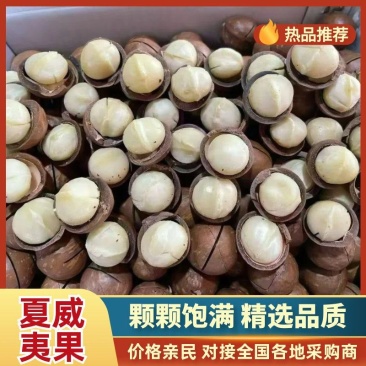 【热卖推荐】河南夏威夷果量大优惠品质保障对接电商商超批发