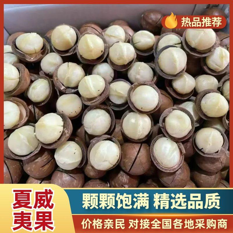 【热卖推荐】河南夏威夷果量大优惠品质保障对接电商商超批发