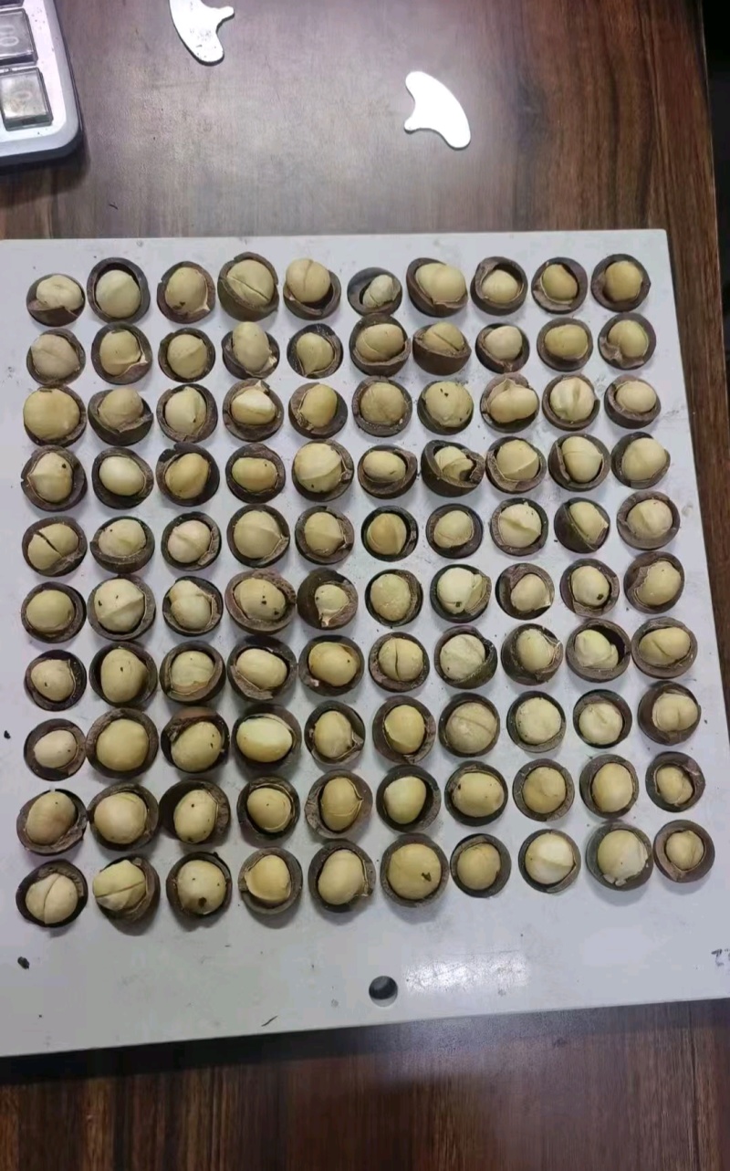 【热卖推荐】河南夏威夷果量大优惠品质保障对接电商商超批发