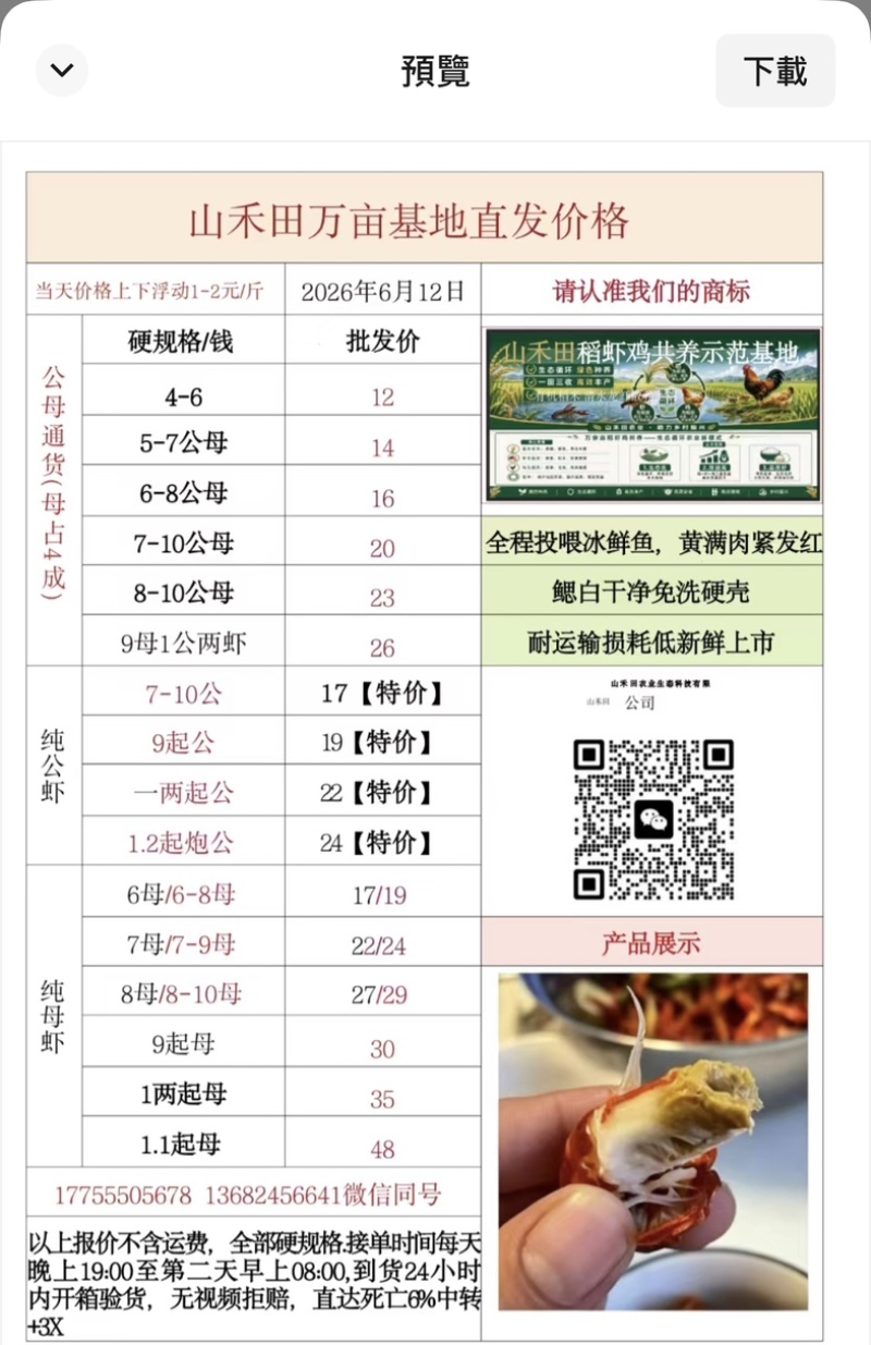 安徽塘南清水小龙虾全规格全品类