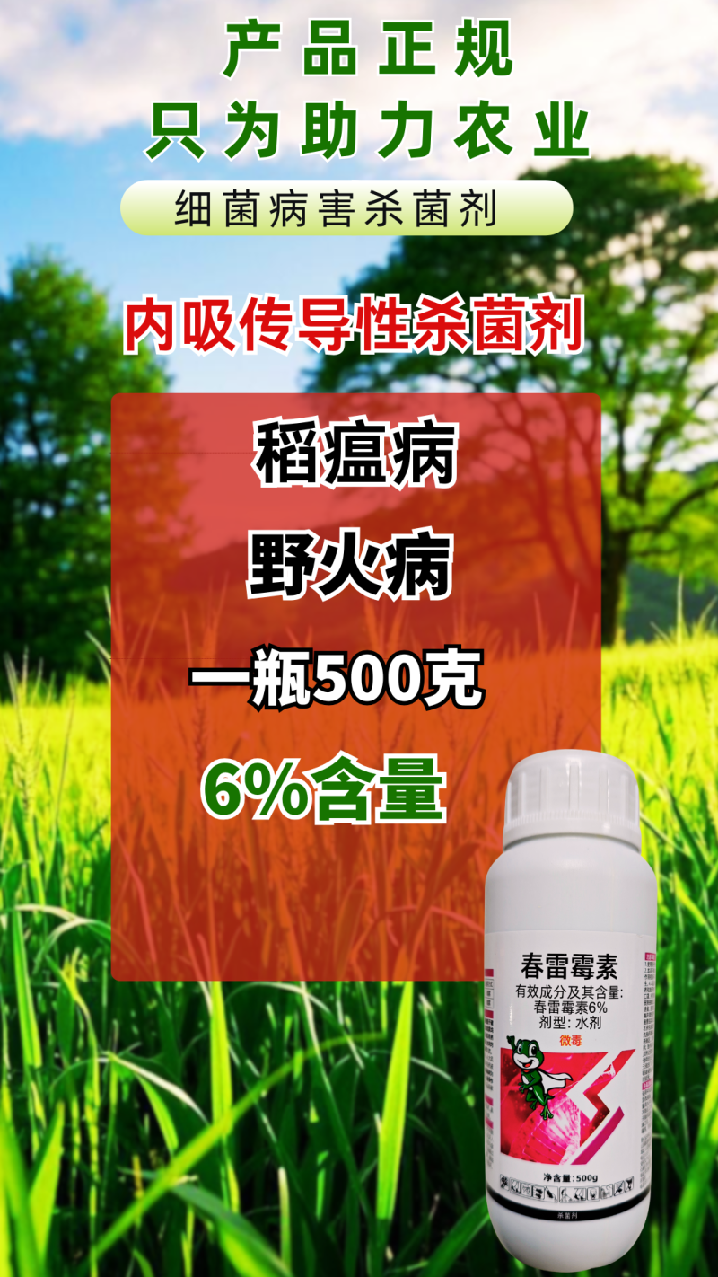 6%春雷霉素稻瘟病野火病细菌杀菌内吸渗透性杀菌剂