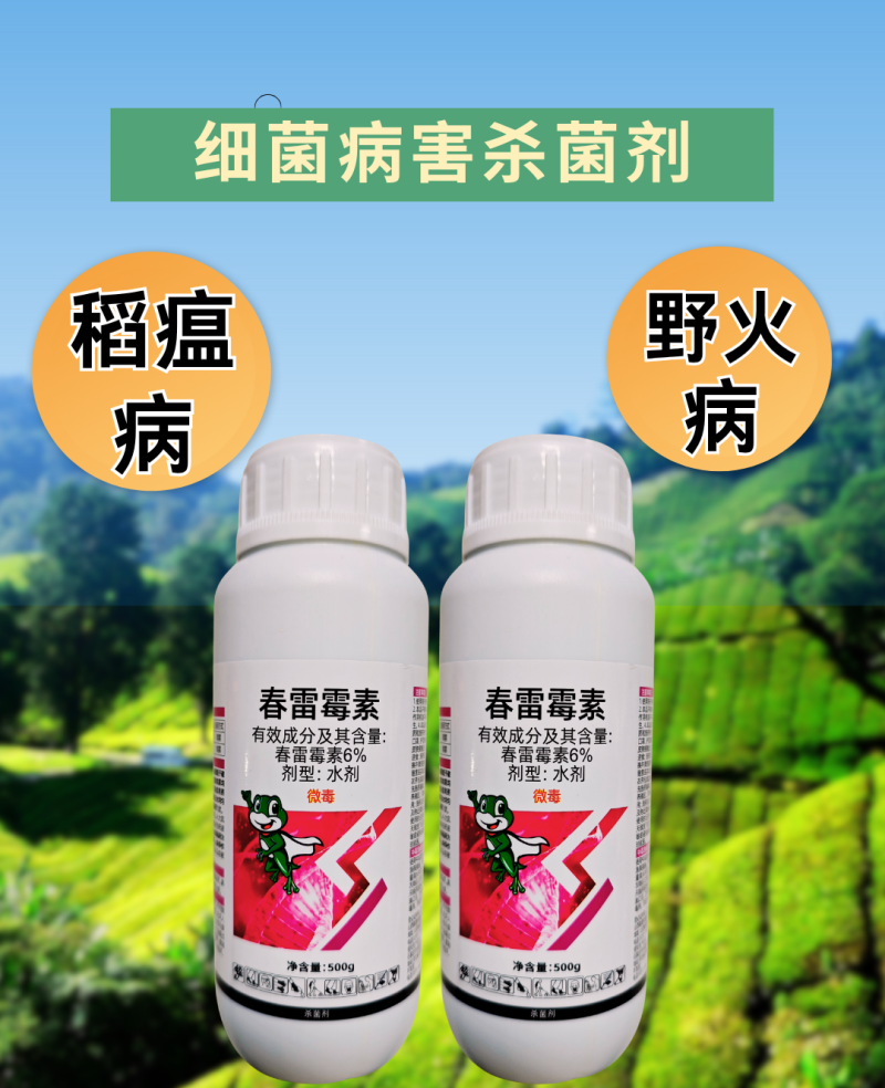 6%春雷霉素稻瘟病野火病细菌杀菌内吸渗透性杀菌剂