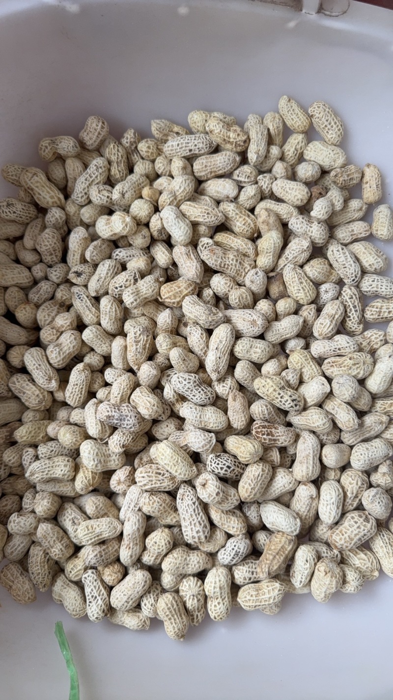 精选水煮白肉咸干花生厂家直发货源充足全国发货