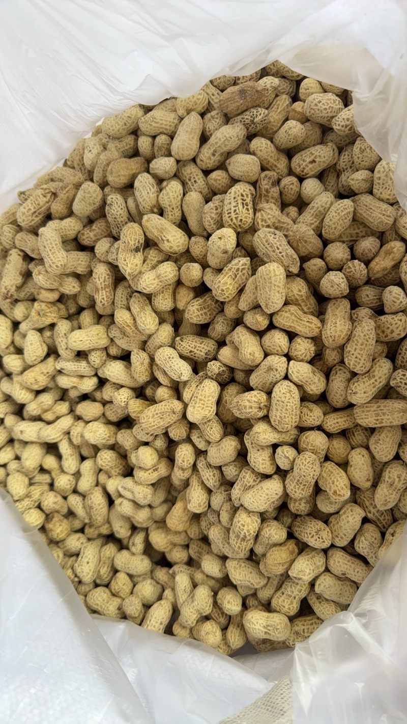 精选水煮白肉咸干花生厂家直发货源充足全国发货