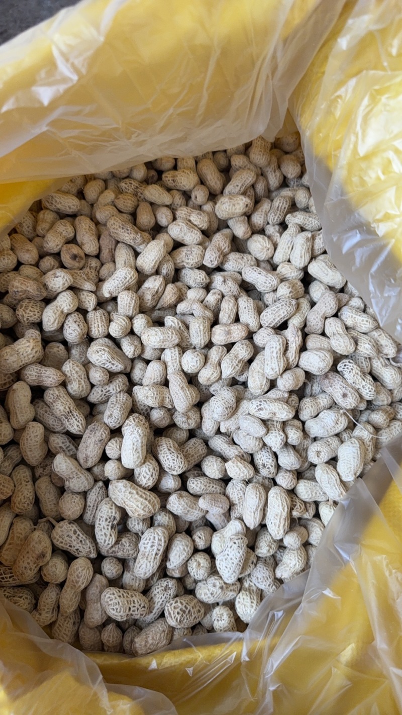 精选水煮白肉咸干花生厂家直发货源充足全国发货