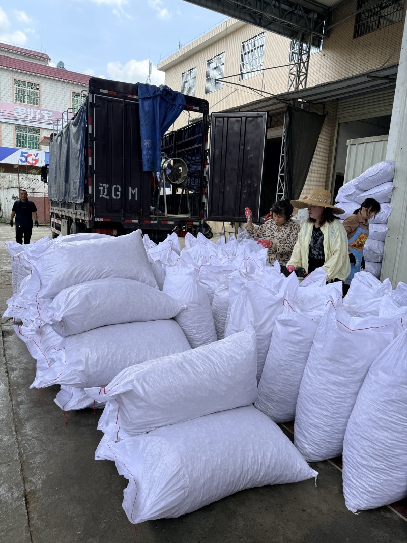 精选水煮白肉咸干花生厂家直发货源充足全国发货
