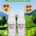 40%苯醚甲环唑炭疽病黑粉病斑斑点点真菌广谱杀菌剂