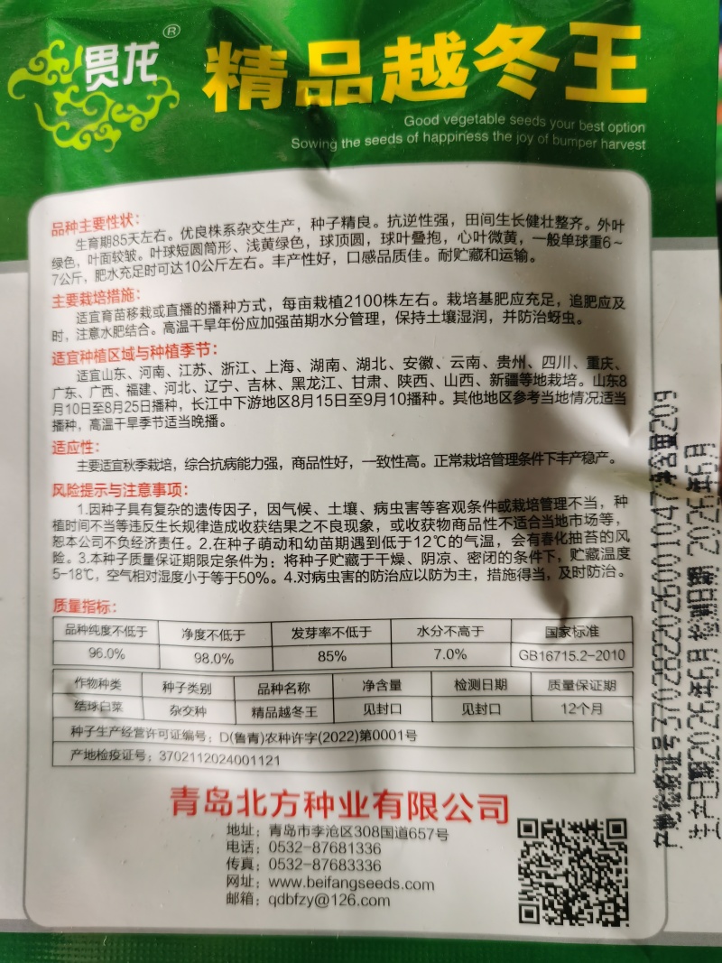 越冬王精品越冬大白菜杂交一代种子菜基地品种