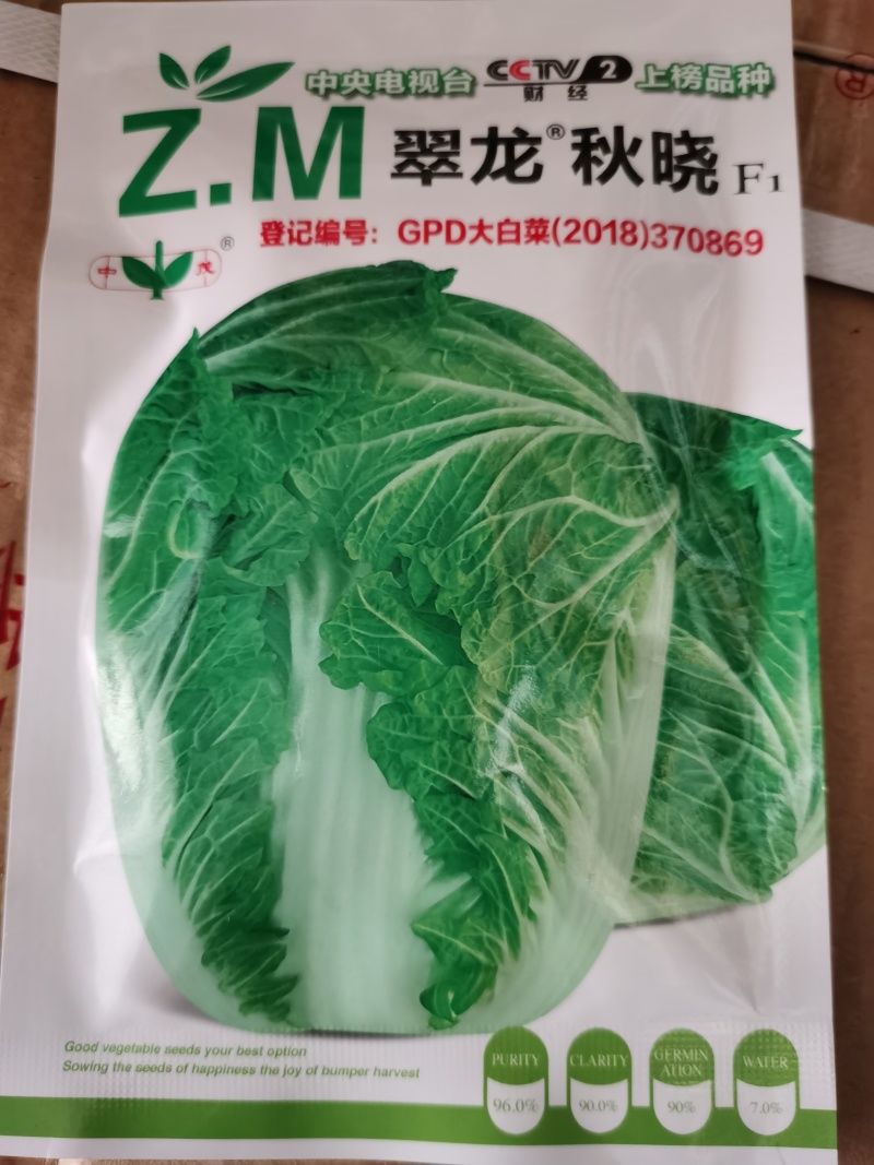 翠龙秋晓贯龙秋晓白菜种子上下等粗包心快丰产口感好