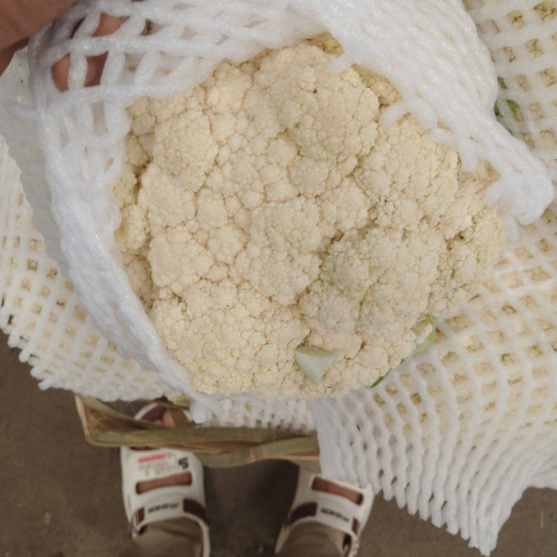 精品有机花菜