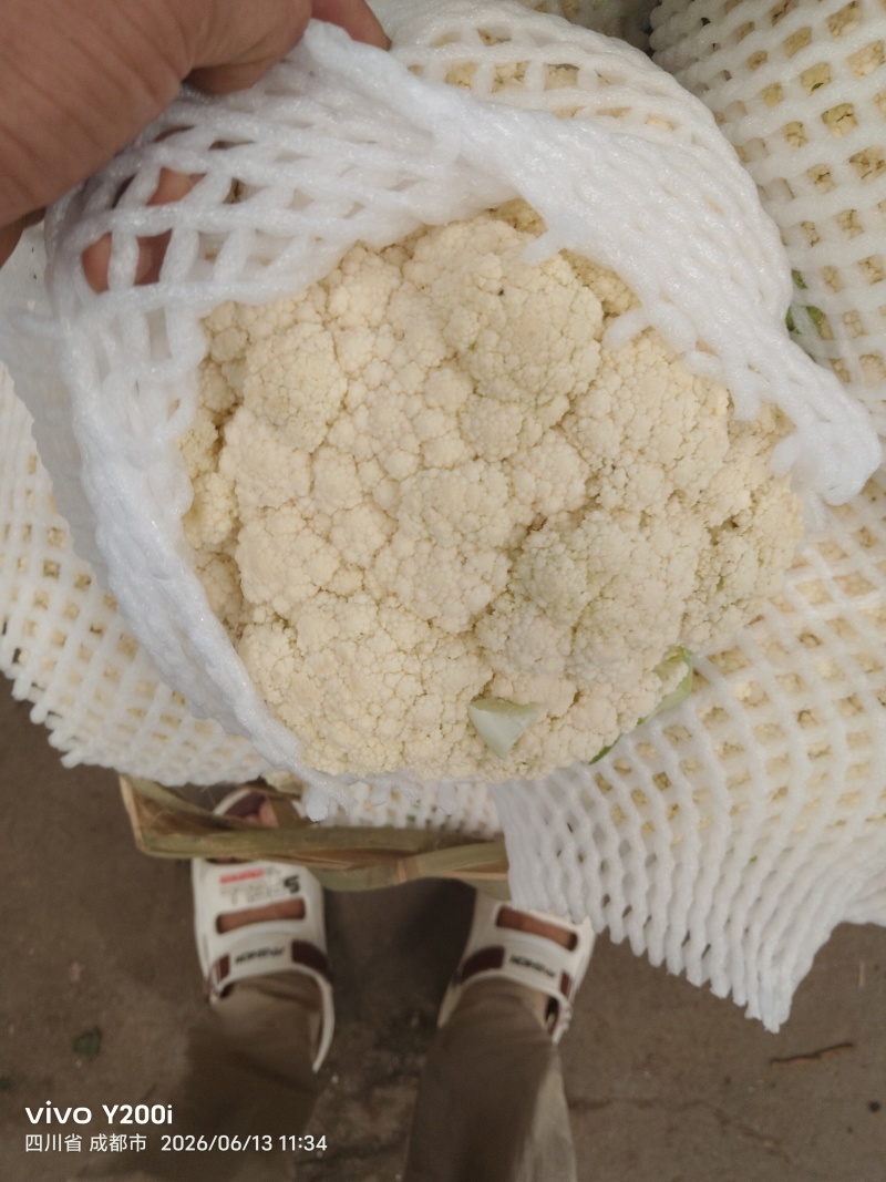 精品有机花菜