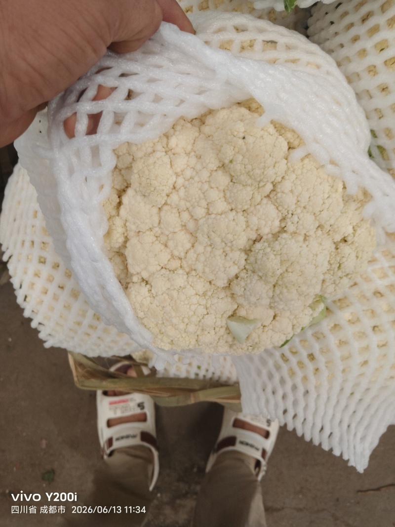 精品有机花菜
