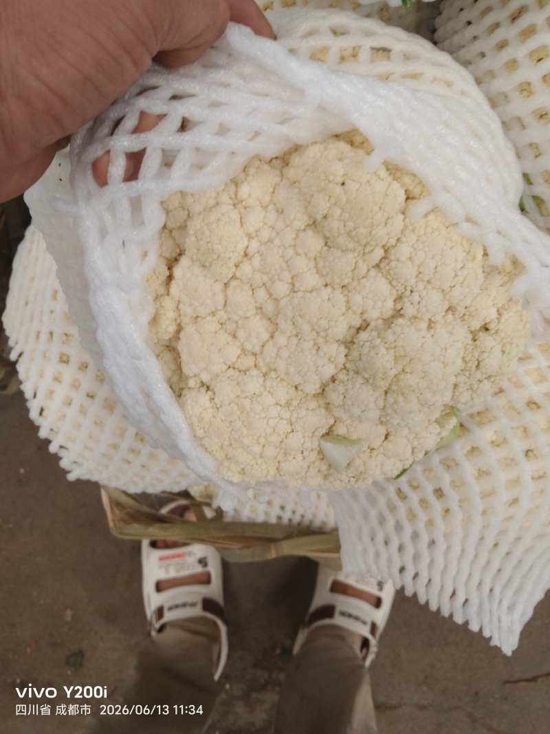 精品有机花菜
