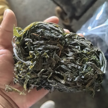 海带丝，海带球丝