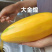 广西百色金煌芒贵妃芒大青芒一件代发市场配车