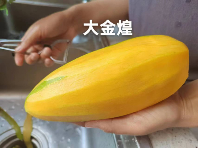 广西百色金煌芒贵妃芒大青芒一件代发市场配车