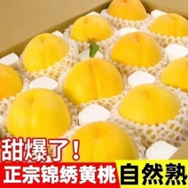 正宗砀山黄桃供应代发原产地直发包邮蒙阴黄桃