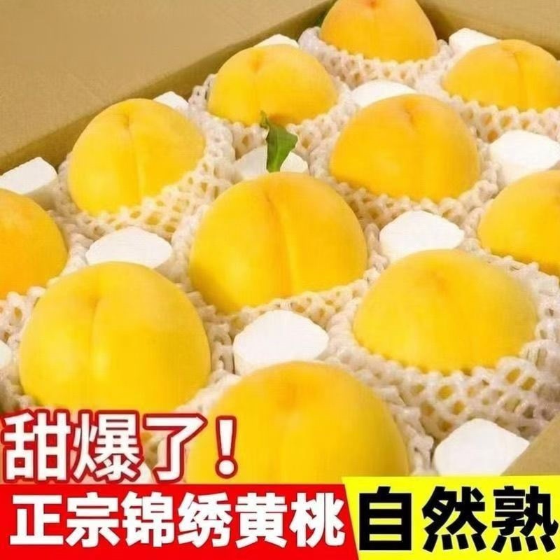 正宗砀山黄桃供应代发原产地直发包邮蒙阴黄桃