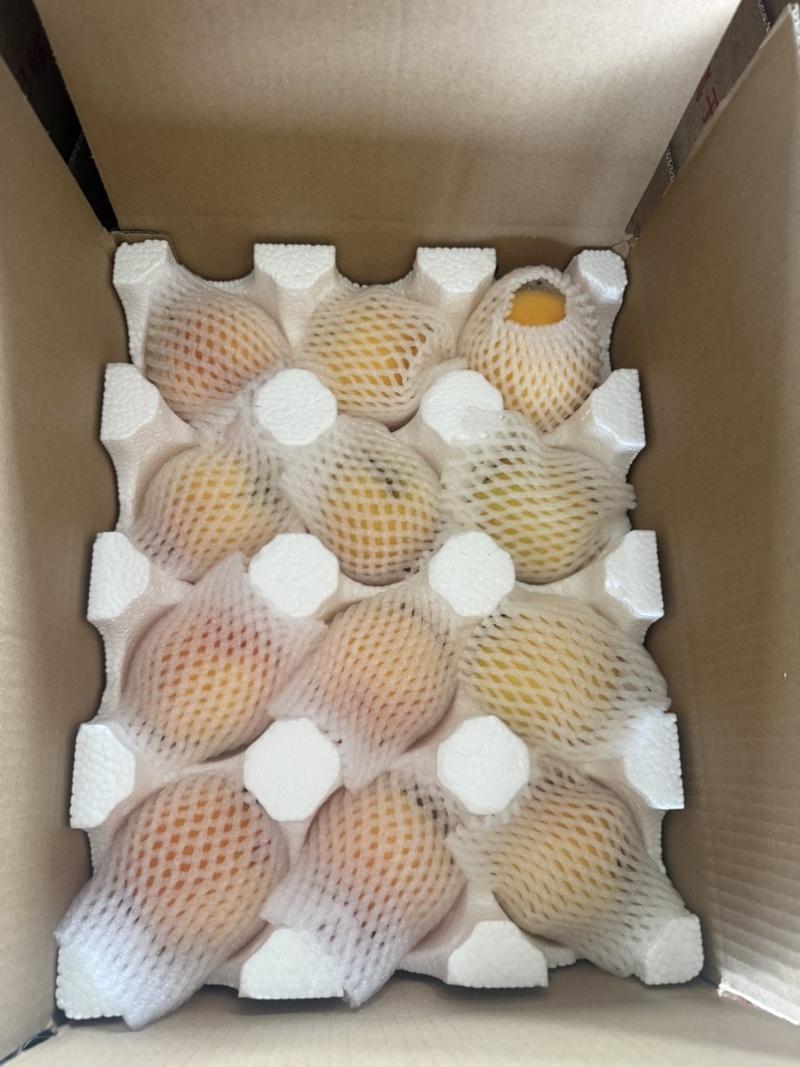 正宗砀山黄桃供应代发原产地直发包邮蒙阴黄桃