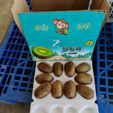 猕猴桃一件代发，源头产地直发，包售后，全网***