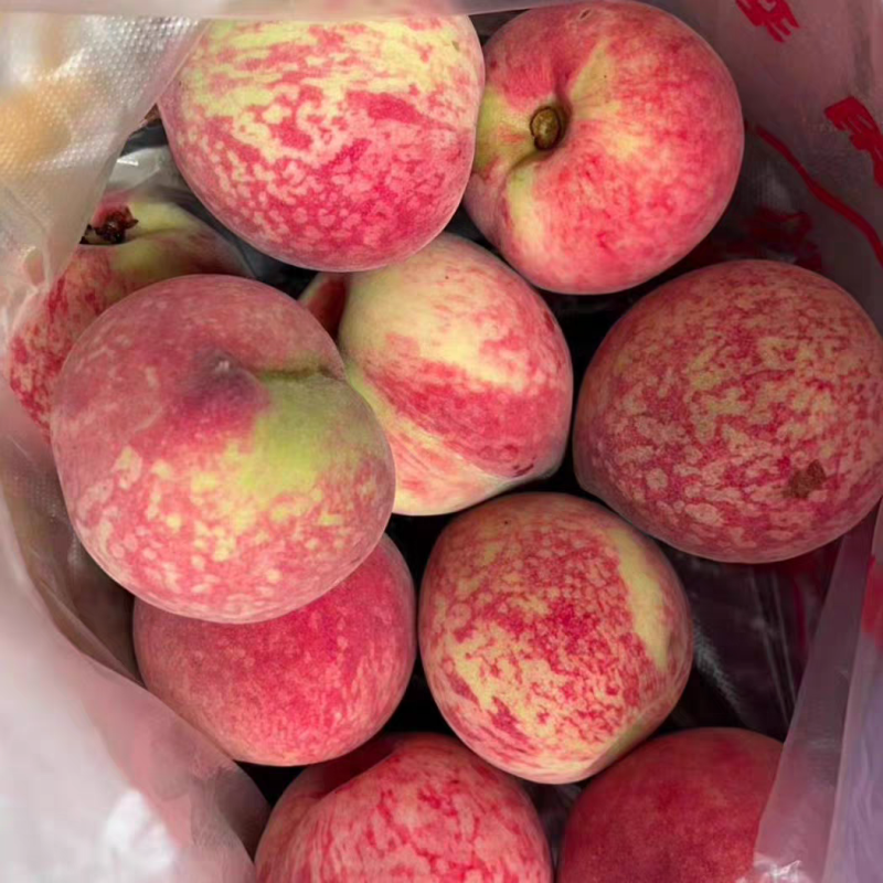 桃子血桃离核老品种