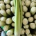 西芹/兰州高原夏菜/西芹/芹菜产地直发