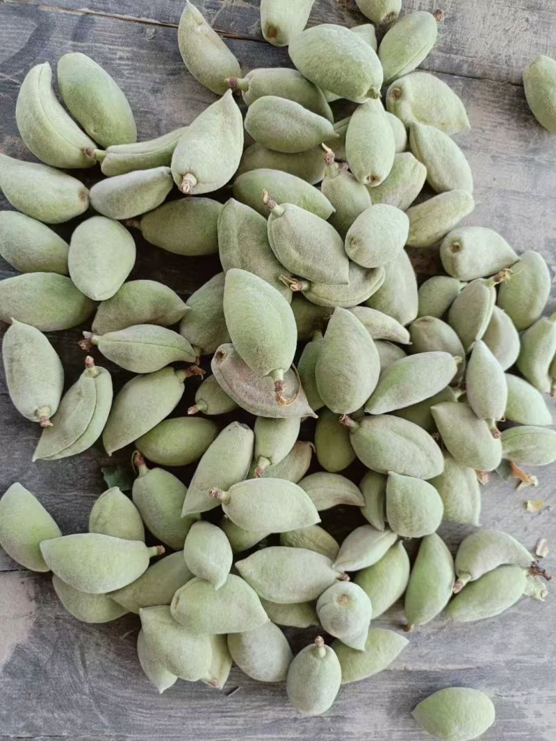 新鲜巴旦木，