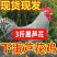 好养耐活高产芦花鸡大量有货鸡群疫苗期齐全康无病