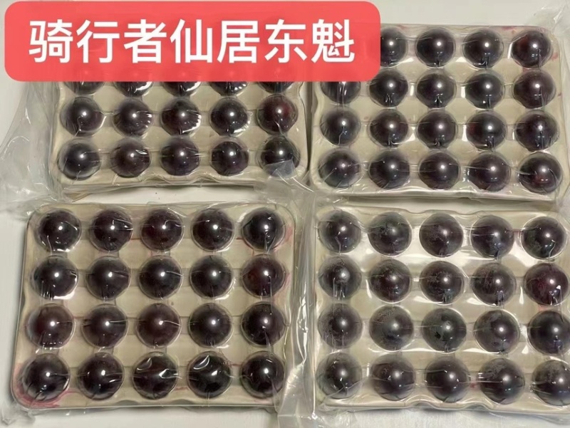 【精品】东魁杨梅生态种植现摘现发农户自销质量保证