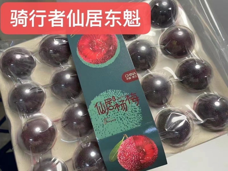 【精品】仙居杨梅农户自销生态种植保质保量可零售可批发
