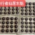 【精品】仙居杨梅农户自销生态种植保质保量可零售可批发